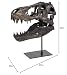 JOTNBOBO Dinosaurier-Schädel-Statue, Dinosaurier-Skulpturen Halterung Tyrannosaurus Schädel Replik Dekoration Schädel Knochen Harz Replik mit Halterung für Home Office Decor Regal Display