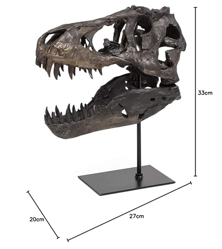 JOTNBOBO Dinosaurier-Schädel-Statue, Dinosaurier-Skulpturen Halterung Tyrannosaurus Schädel Replik Dekoration Schädel Knochen Harz Replik mit Halterung für Home Office Decor Regal Display
