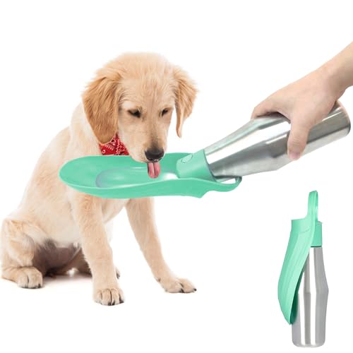 ZoneYan Bouteille d'Eau pour Chien 750 ML / 27oz - Distributeur d'Eau Portable de Voyage en Acier Inoxydable, Gourde Anti-Fuite (Vert Clair)