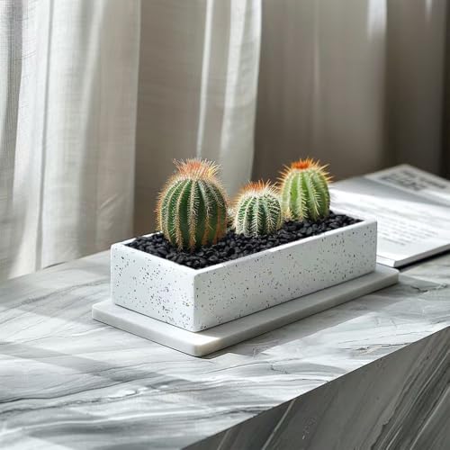 Image of HappyFiller 0.88 LB Black Gravels Small Stones Succulent Mini Rocks | Planter Soil Cover Pebbles,Fairy Garden,Terrarium,Lucky Bamboo,Cactus Topper Dressing Decor,Aquarium Fish Tank Bottom Granule