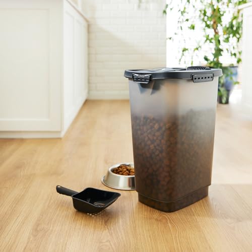 Rotho Cody Tierfutterbehälter 25l mit Deckel und Schüttvorrichtung, Kunststoff (PP) BPA, 25l (33,0 x 25,0 x 46,3 cm)