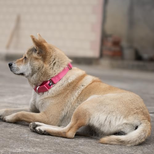 Hyhug Verbessertes Design Nylon-Gurtband, Waschen mit kaltem Wasser verblasst Nicht, verschmutzt Hundehaare Nicht, verschleißfest und Nicht anfällig für Fusseln. Rutschfestes Martingalhalsband für