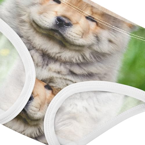 Chow Puppy Dog Grass Panties for Girl Toddler Girls Underwear Cotton Stylish Briefs Girls Undies 2t4