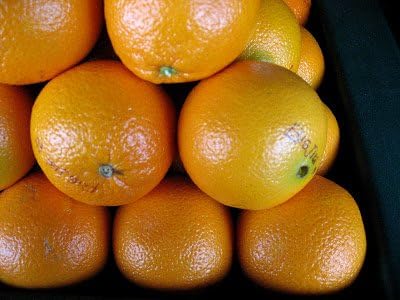 Famous Big Jim California Oranges Approx 6 Lbs