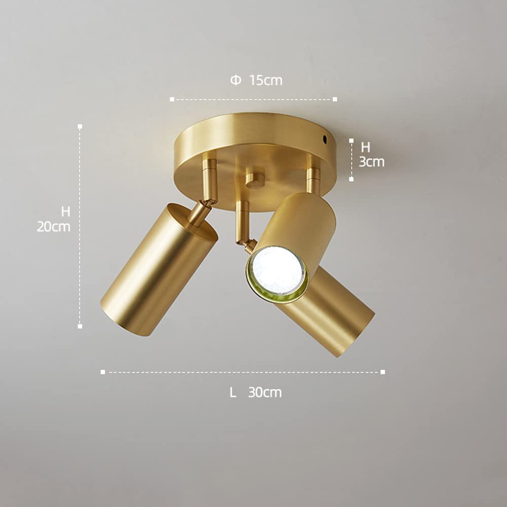 Spots encastrés LED pour Plafond, plafonnier Rond en cuivre, kit d'éclairage sur Rail Fixe, pour Chambre, Cuisine, Salon, Bureau (3 lumières)