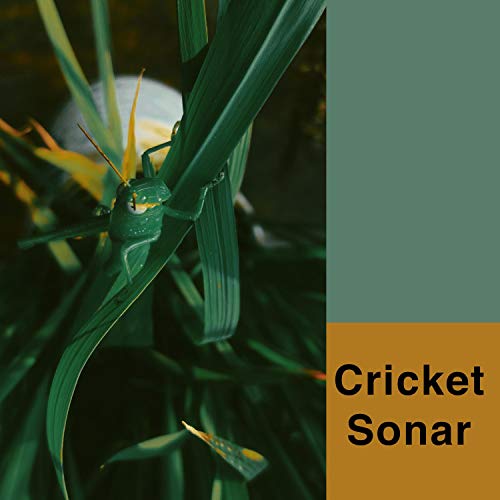 Cricket Sonar by Cricket Sonic, Ancient Crickets on Amazon Music