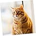 TOYANDONA Lock Pendant Necklace Adjustable Metal Chain for Pets Longevity Charm Bell for Dogs and Cats Stylish Pet Jewelry for Holiday and Festive Occasions