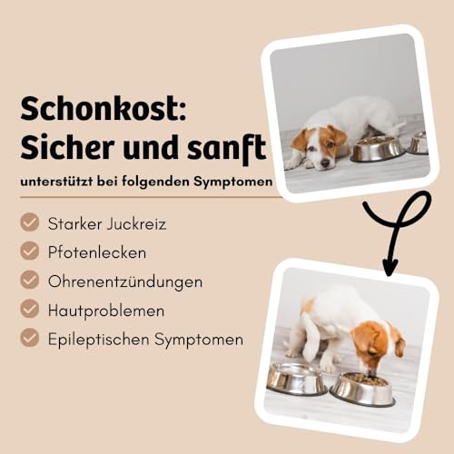 BugBell Hypoallergener Snack für Hunde 60g, Nur Vier Komponenten, Sensitive, Magenschonend, Schonkost für Hunde, für Allergikerhunde, Insekten Snacks bei Ausschlussdiäten