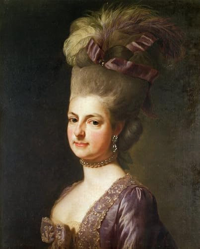 Cuadro pintura mural Maria Christiana de Austria de Jean François De Troy