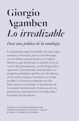 Lo irrealizable: Para una política de la ontología (ENSAYO Y TEORIA_FILOSOFIA)