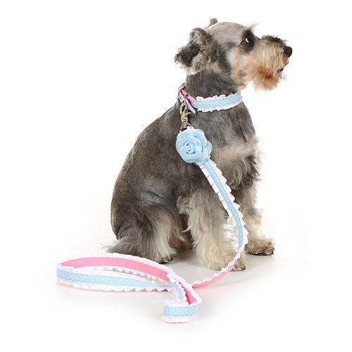 What Size Collar For Miniature Schnauzer