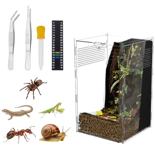 DELORIGIN WsOXpC_[GN[W[ AN ʋC  eE ঒ރGN[W[ nr^ANZT[ WsON ^` J}L J^c hJ gJQ(6x6x10C`)