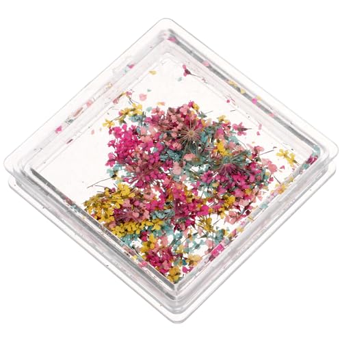 GRADENEVE 1 nbԏ lCA[gp [{bNXt yʌgщ\ }jLAp @׃fUC ꐫ\p