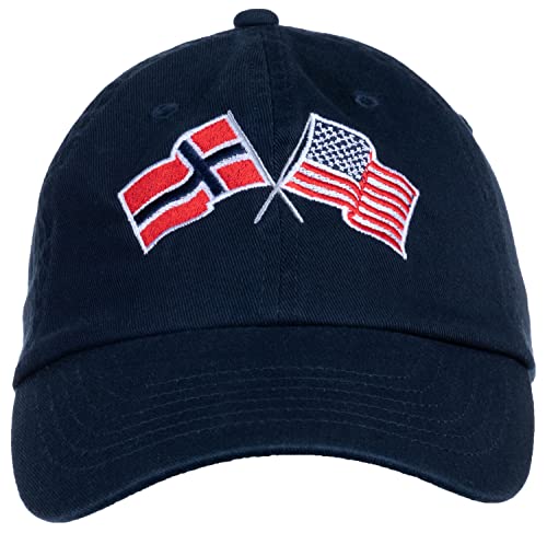 Image of Ann Arbor T-shirt Co. American Friendship Nations Flag Baseball Low Profile Dad Hat for Men Women