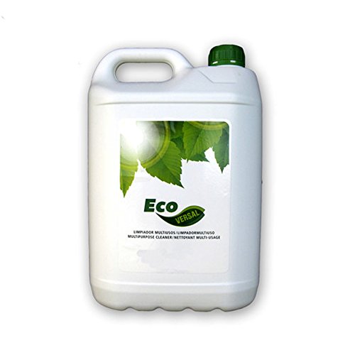 Induquim Limpiacristales Ecológico Ecoshine 5 litros Cover