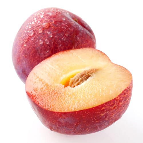 美味いとこどり 和歌山県産 プラム すもも 高級 最高級のAランク ※フルーツマイスター監修【1kg】