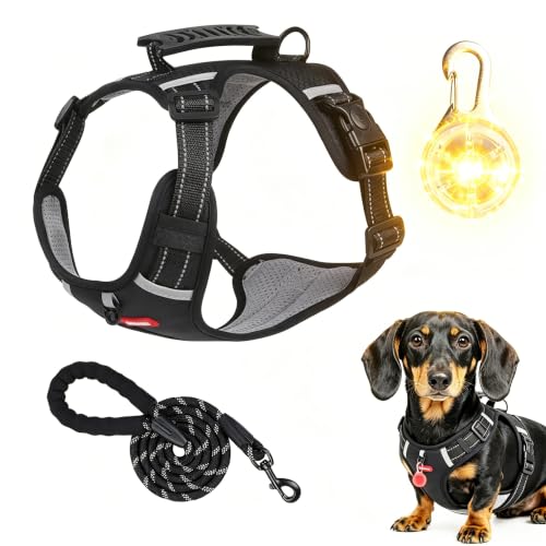 Hundegeschirr Mittelgroße Hunde, Anti-Zug Brustgeschirr mit verstellbarem, vertikal verbreitertem Griff & Reflektorstreifen, Nackenschutz druckentlastend und atmungsaktiv, inkl. Leuchtanhänger (L)
