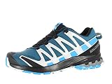 [サロモン] トレイルランニングシューズ XA PRO 3D V8 GORE-TEX (エックスエープロ 3DV8 ゴアテックス) メンズ レギオンブルー/ブライズ/パールブルー 25.0 cm