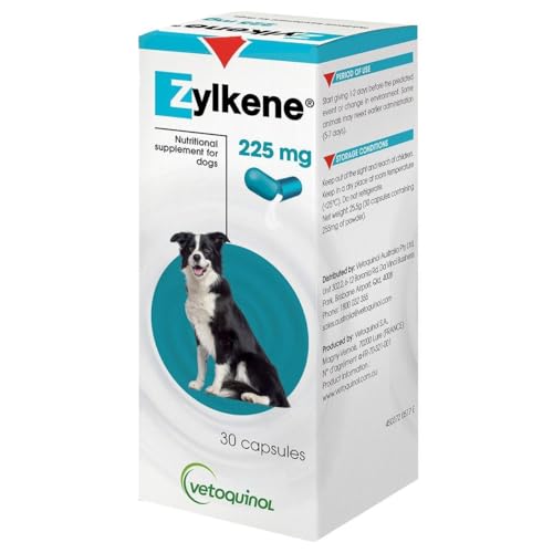 best calming supplements for dogs