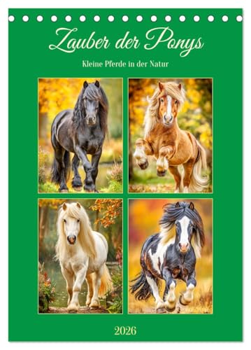 Magic of Ponies. Small Horses in Nature (Desk Calendar 2026 DIN A5 High), CALVENDO Monthly Calendar: The Endearing World of Ponies in Picturesque Landscapes