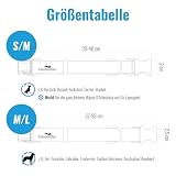 FREUDENTIER Hundehalsband mit Hundeleine 2m im Set - Hundeleine verstellbar - Edinburgh Kollektion - Hundehalsband große Hunde, Halsband Hund kleine & mittelgroße - Hund Halsband inkl. Geschenkbox