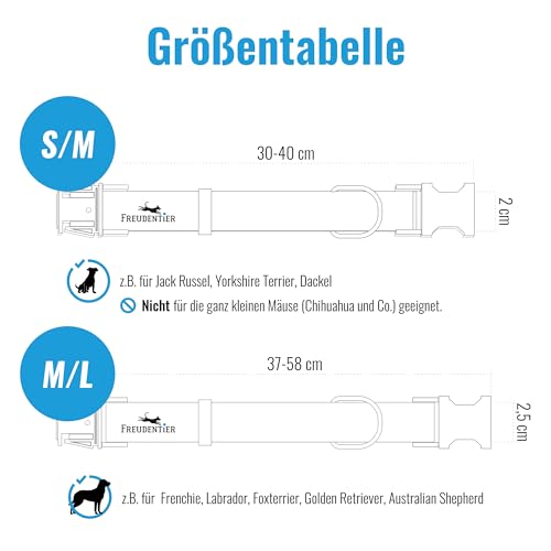 FREUDENTIER Hundehalsband mit Hundeleine 2m im Set - Hundeleine verstellbar - Edinburgh Kollektion - Hundehalsband große Hunde, Halsband Hund kleine & mittelgroße - Hund Halsband inkl. Geschenkbox