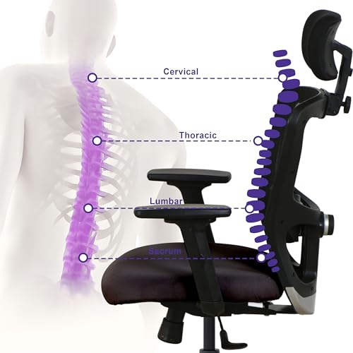 Image of Wakefit Albus Ergonomic Office Chair for Work | 3 Year Warranty | Multi-Lock Seat Slider and Recline | Soft Armrest with 3D Adjustability| Strong Nylon Base | 8+ Hours of Comfort | Black