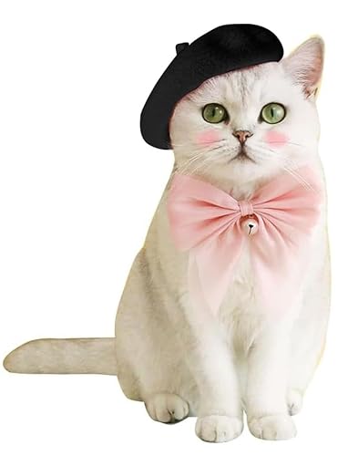 Hot Beret For Dogs Products on Amazon You Need to Check Out