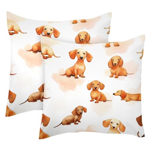 Fundas de cojín de perro salchicha para tardes de sofá confortables en el salón 2