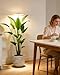 yadoker Plant Grow Light, LED Growing Light Full Spectrum for Indoor Plants,Height Adjustable, Automatic Timer, 5V Low Safe Voltage,Idea for Large Plant Light
