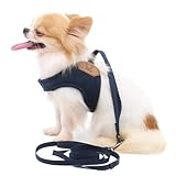 LOPHIPETS Lightweight Dog Harness with Leash Set for Small Dogs Chihuahua Yorkie Puppy Cat-Blue/S