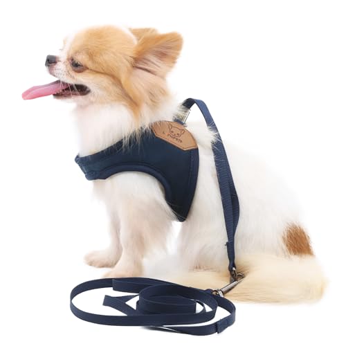 LOPHIPETS Lightweight Dog Harness with Leash Set for Small Dogs Chihuahua Yorkie Puppy Cat-Blue/S