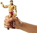 WWE Super Strikers Dual Force Daniel Bryan Figure