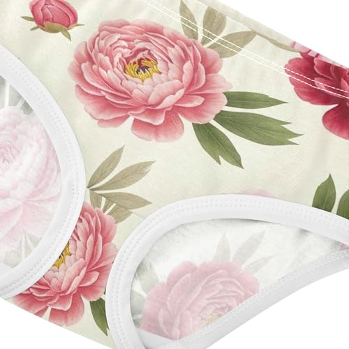 Aesthetic Girls Underwear Toddler 2t Cotton Cute Panties Girl Watercolor Pink Floral Red Flowers Briefs Undies Kids4