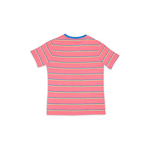 Image of Indian Terrain Boys Round Neck Graphic Print Tee