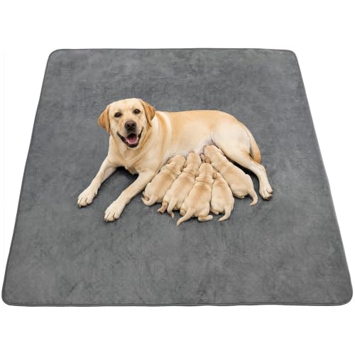 Washable Dog Pee Pads, 34x52, Absorbent, Waterproof, Reusable Whelping Pads