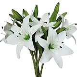 NC Artificial Tiger Lily 6PCS, Wedding Home Photography Decoration Fake Flower Party Family Hotel Of
