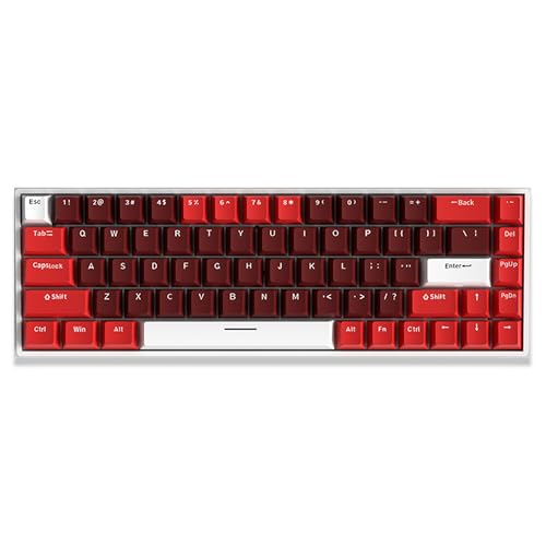 メカニカルキーボード 赤軸　英語 Amazon.co.jp: Vortexgear メカニカル キーボード Vortex10 英語