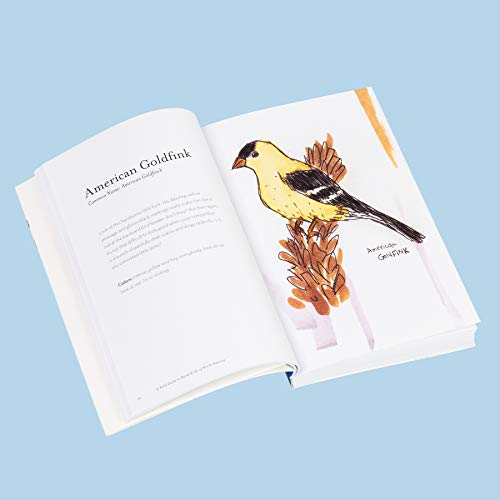 Image of The Field Guide to Dumb Birds of North America (Bird Books, Books for Bird Lovers, Humor Books)