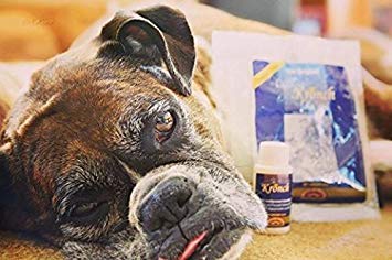 Kronch Lachsöl - Nahrungsergänzungsmittel für Hunde und Katzen - 250 ml