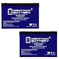 Mighty Max Battery 12V 100AH Gel Replacement Battery Compatible with Interstate DCM0090-2 Pack