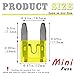 FymuSing 20 pcs 20A Mini Blade Fuse, Automotive Fuse for Car Truck