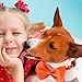 10 Stück Hundehalsbänder mit Fliege in 10 Farben - Klassische, weiche und verstellbare Halsbänder für kleine und mittelgroße Hunde sowie Katzen.