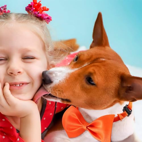 10 Stück Hundehalsbänder mit Fliege in 10 Farben - Klassische, weiche und verstellbare Halsbänder für kleine und mittelgroße Hunde sowie Katzen.