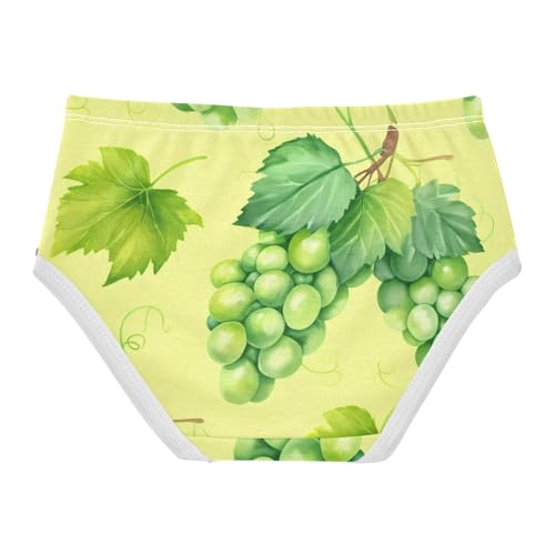 Toddler Underwear Custom 2t Cotton Little Girl Panties Artistic Underpants Briefs Watercolor Green Grape Clusters2
