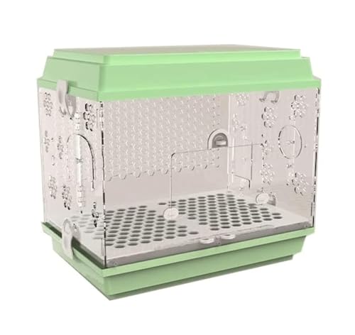 gJS  AN NGCeBuȒLA |[^uo[hnEX o[hnEXLA XNGAtCgP[W  IJCR P[W(Green)