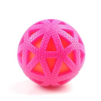 Pet Believe Wowdogbox Spiked Rubber Ball for Dog Training
