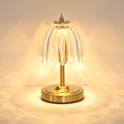 Image of Shenmoyl Tulip Small Table Lamp, 5200mAh Cordless Touch Control Mini Table Lamp with 3 Color Temps & Stepless Dimming, Perfect for Small Spaces like Dressers, Bedsides, Bookshelves (Transparent Tulip)