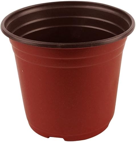 Flor para maceta exterior a granel, contenedor de inicio de suculentas, semillas de plántulas, flor para 50 piezas de reemplazo de persianas