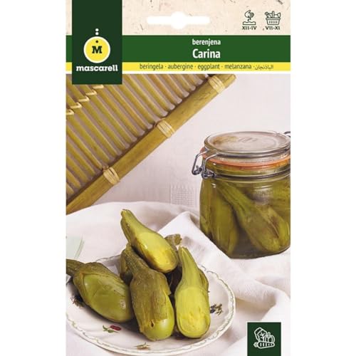 Mascarell Semillas, BERENJENA, Semillas Huerto, BERENJENA CARINA, Crea tu Propio Huerto Urbano y Cultivo en Casa, Plantas Hortícolas, 2 Gramos